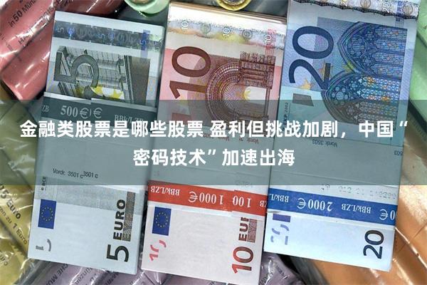 金融类股票是哪些股票 盈利但挑战加剧，中国“密码技术”加速出海