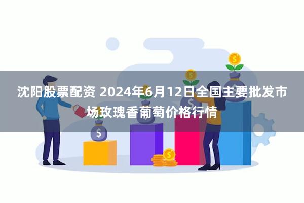 沈阳股票配资 2024年6月12日全国主要批发市场玫瑰香葡萄价格行情