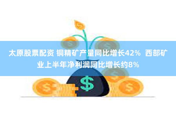 太原股票配资 铜精矿产量同比增长42%  西部矿业上半年净利润同比增长约8%