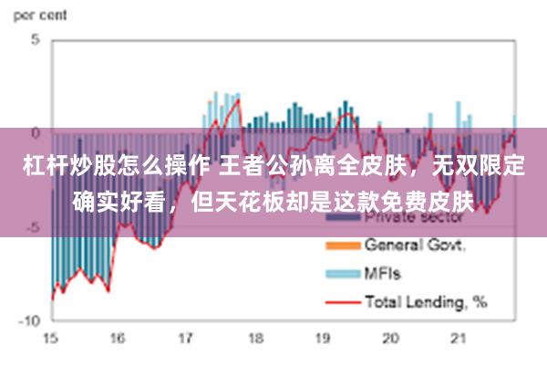 杠杆炒股怎么操作 王者公孙离全皮肤，无双限定确实好看，但天花板却是这款免费皮肤