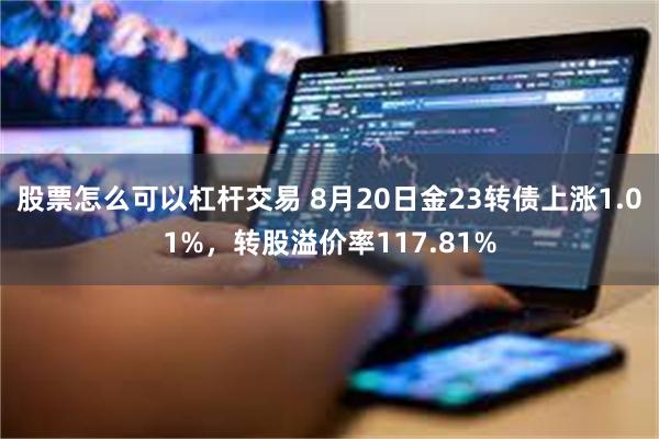 股票怎么可以杠杆交易 8月20日金23转债上涨1.01%，转股溢价率117.81%