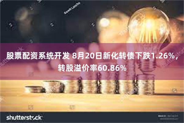 股票配资系统开发 8月20日新化转债下跌1.26%，转股溢价率60.86%