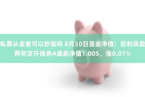 私募从业者可以炒股吗 8月30日基金净值：宏利添盈两年定开债券A最新净值1.005，涨0.01%