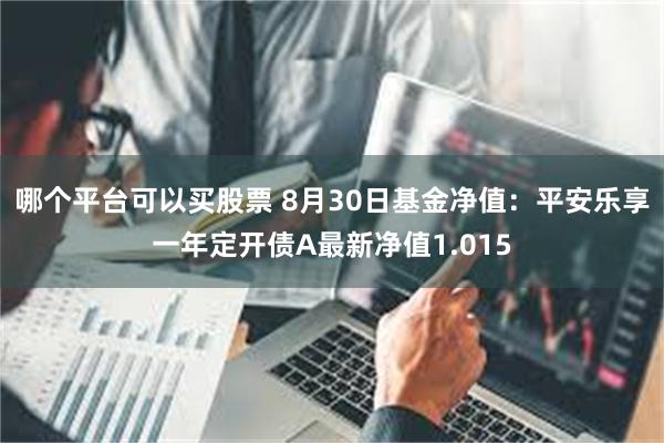 哪个平台可以买股票 8月30日基金净值：平安乐享一年定开债A最新净值1.015