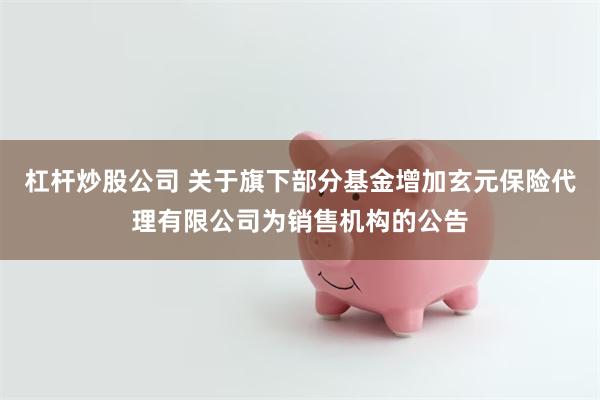 杠杆炒股公司 关于旗下部分基金增加玄元保险代理有限公司为销售机构的公告