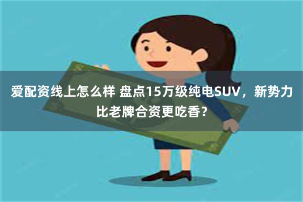 爱配资线上怎么样 盘点15万级纯电SUV，新势力比老牌合资更吃香？