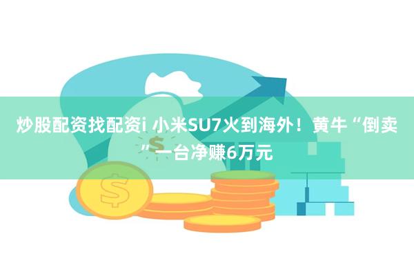 炒股配资找配资i 小米SU7火到海外！黄牛“倒卖”一台净赚6万元