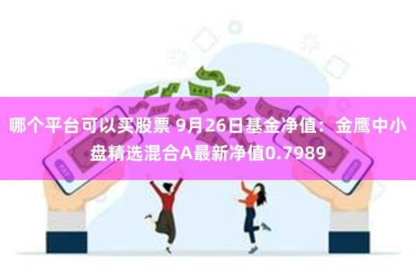 哪个平台可以买股票 9月26日基金净值：金鹰中小盘精选混合A最新净值0.7989