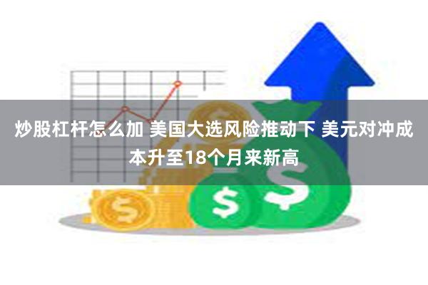 炒股杠杆怎么加 美国大选风险推动下 美元对冲成本升至18个月来新高