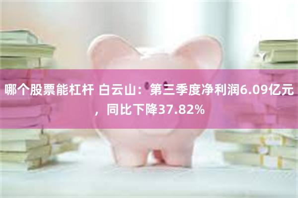 哪个股票能杠杆 白云山：第三季度净利润6.09亿元，同比下降37.82%