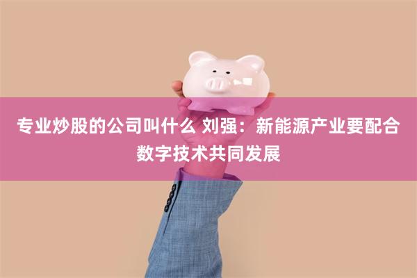 专业炒股的公司叫什么 刘强：新能源产业要配合数字技术共同发展