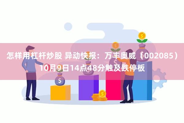 怎样用杠杆炒股 异动快报：万丰奥威（002085）10月9日14点48分触及跌停板