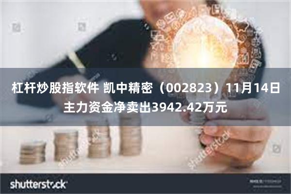 杠杆炒股指软件 凯中精密（002823）11月14日主力资金净卖出3942.42万元