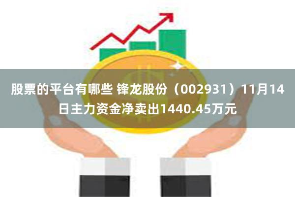 股票的平台有哪些 锋龙股份（002931）11月14日主力资金净卖出1440.45万元