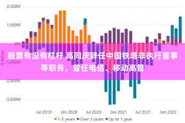 股票有没有杠杆 高同庆辞任中国铁塔非执行董事等职务，曾任电信、移动高管