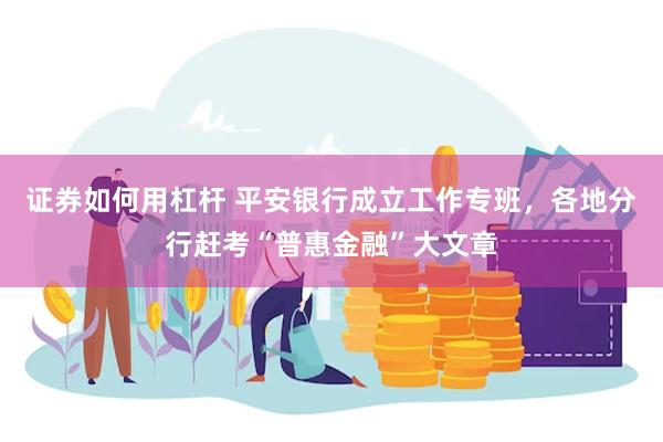 证券如何用杠杆 平安银行成立工作专班，各地分行赶考“普惠金融”大文章